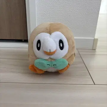 포켓몬스터 모코로 봉제 인형 포켓몬