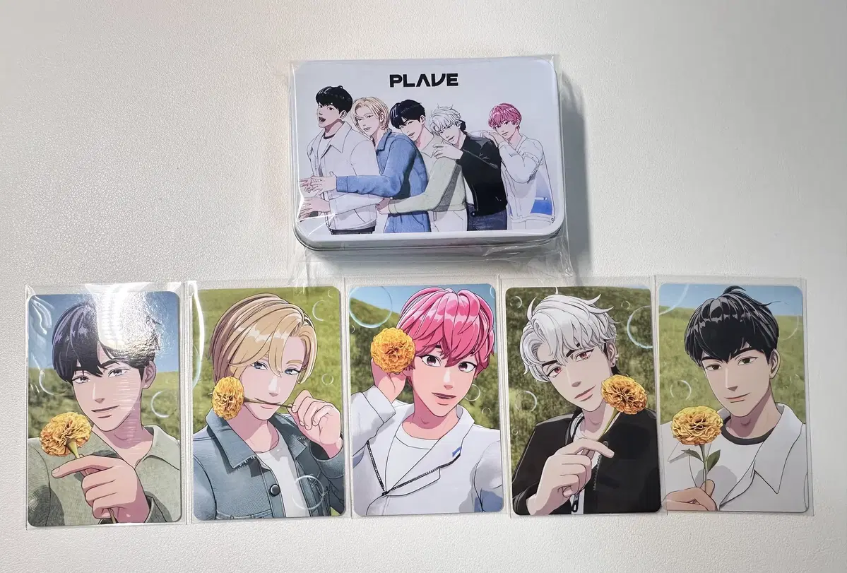 PLAVE Mediheal 1.5th + 2nd (Including Tin Case) Poca Bulk