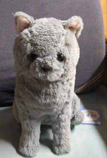 고양이 봉제 인형 로시안 블루