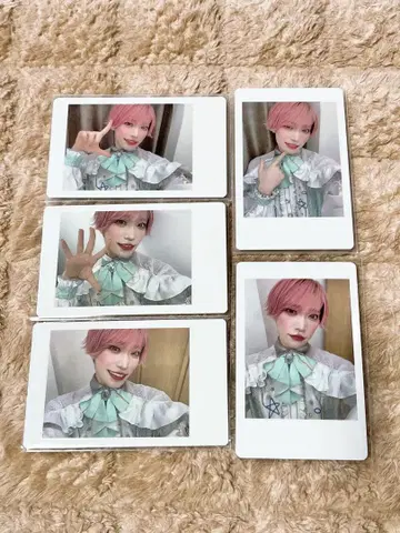 팬더 드래곤 하피카 타이