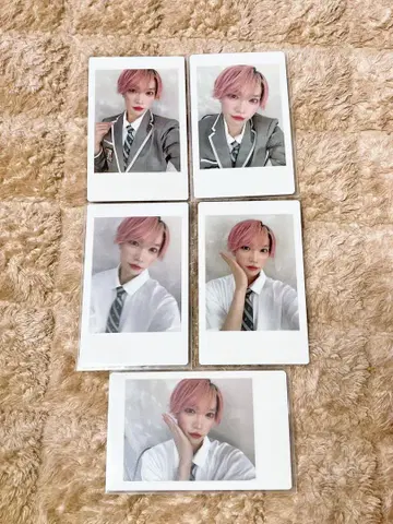 팬더 드래곤 타이 가 하피카