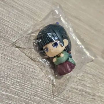 기다림 고양이 고양이