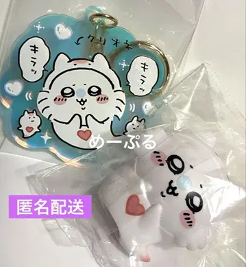 치이카와 수족관 클리오네 모몽가