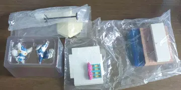냐오닉스 리멘트 포켓몬의 마을 3 조수의 통로 피규어