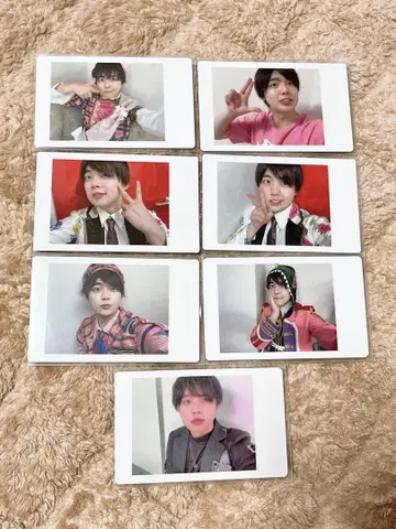 팬더 드래곤 나기 하피카