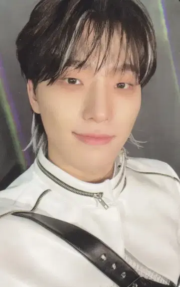 SEVENTEEN FACE THE SUN DINO 트레이딩 카드 Ep2.