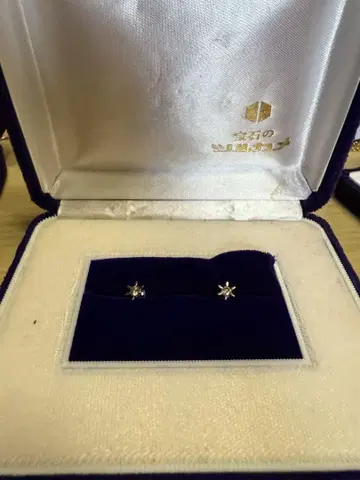 다이아몬드 귀걸이 총 0.20ct 케이스 포함 보석 거북이