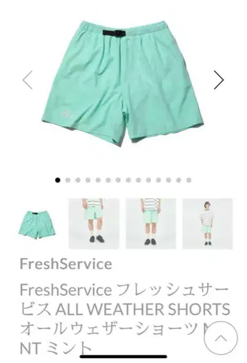 FreshService ALL WEATHER SHORTS 민트 XL