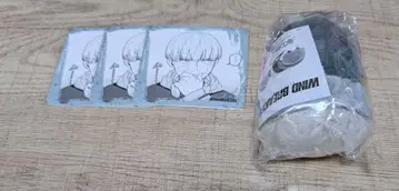윈드 브레이커 카지 렌