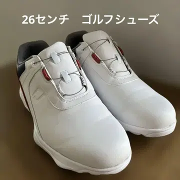 남성용 풋조이 하이드로 라이트 골프화