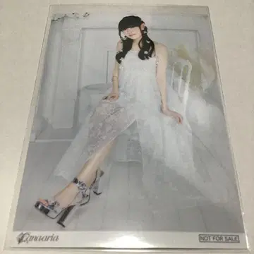 타무라 유카리 Felice 혜택 브로마이드