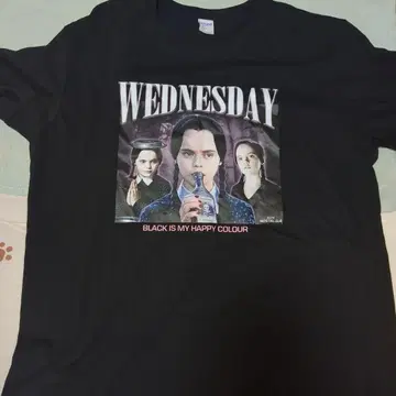 아담스 패밀리 WEDNESDAY 티셔츠