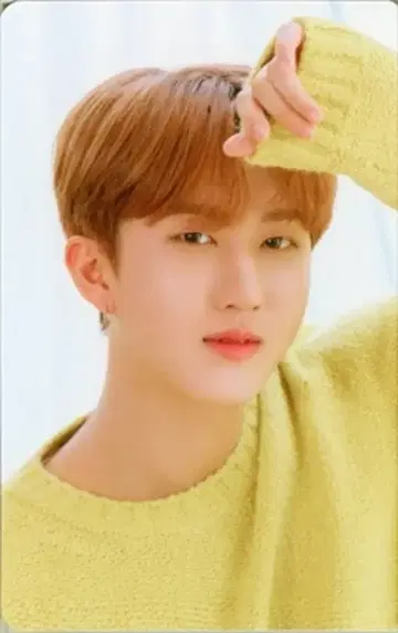 StrayKids WAVE9 Changbin NACIFIC 콜라보 브라운