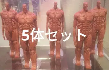진격의 거인 땅울림 피규어 5개 세트