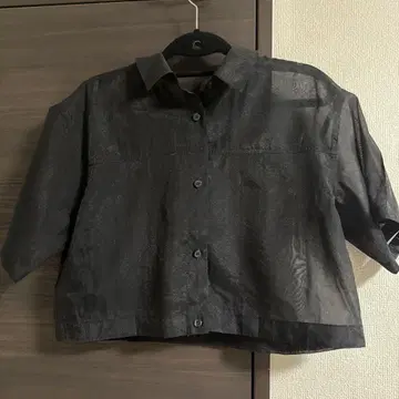 Ray BEAMS 시어 셔츠