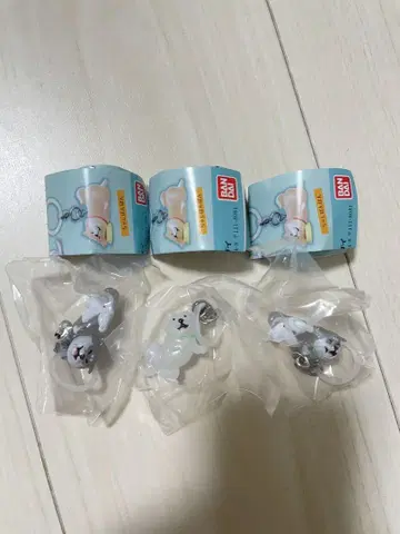 시반반 메지루시 액세서리