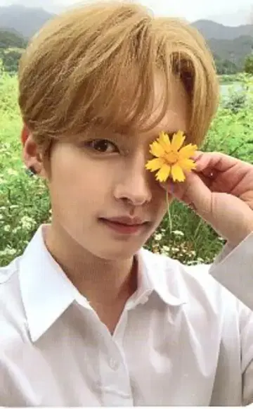 StrayKids NOEASY LeeKnow 트레이딩 카드 꽃