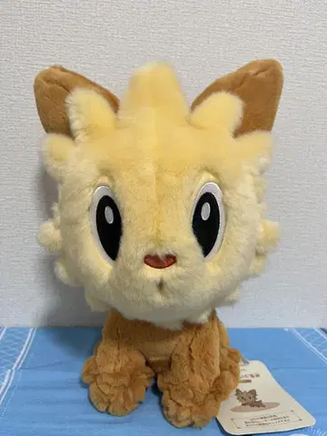 포켓몬 센터 앉은 봉제 인형 요테리 빅 사이즈
