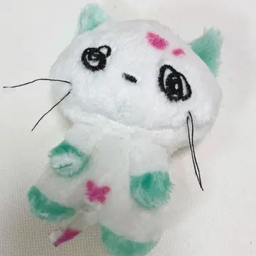 파마시 고양이 II