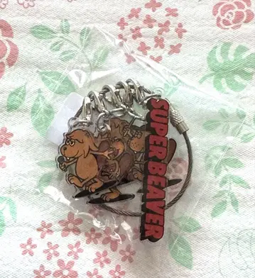 SUPER BEAVER 키 참