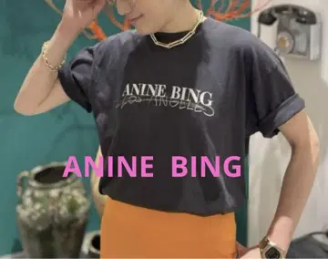 ANINE BING 애니 빙 WALKER TEE 새상품급