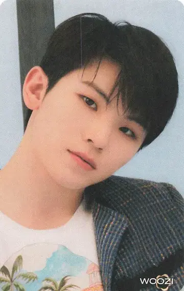 SEVENTEEN 혼자가 아니야 WOOZI 트레이딩 카드