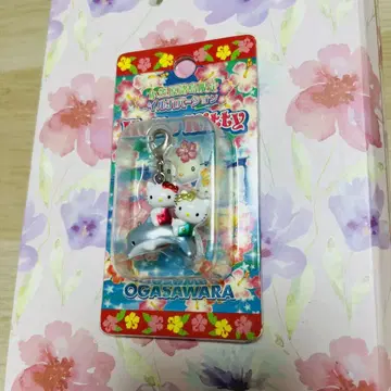 레어 지역 한정 키티 헬로키티 돌고래 스트랩