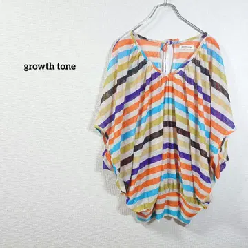 growth tone 튜닉 티셔츠 시어 보더 컬러풀