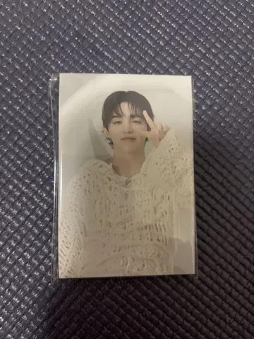 seventeen 아코디언