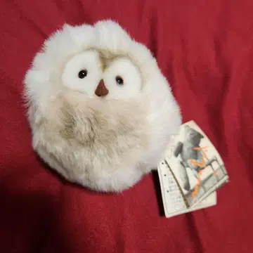 몬 수이유 올빼미 봉제 인형 M 사이즈