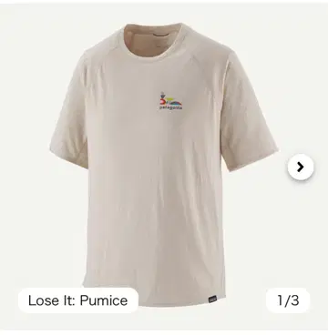 파타고니아 캐플린