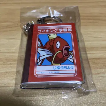 코이킹 자유형 키링