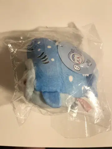 치이카와 수족관 하치와레 징베에