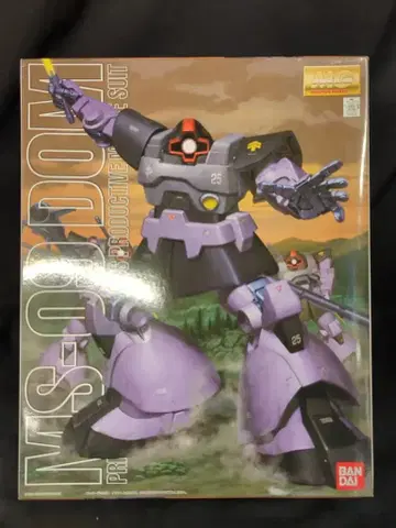반다이 MG 1/100 기동전사 건담 돔