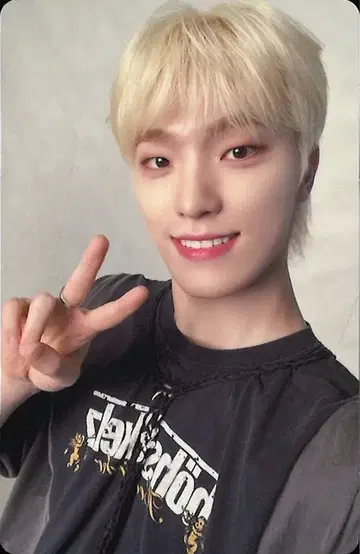 SEVENTEEN CARAT판 DINO ALWAYS YOURS 네이비