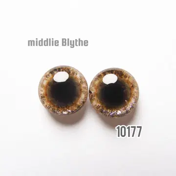 10177 미디 브라이스 아이 칩