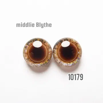10179 미디 브라이스 아이 칩
