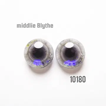 10180 미디 브라이스 아이 칩