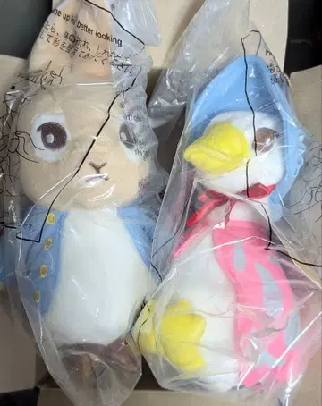 피터 토끼 봉제 인형 2종 다이소