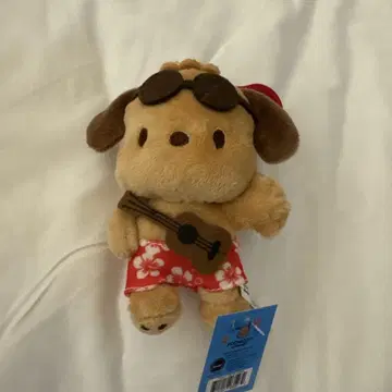 포차코 하와이 한정판