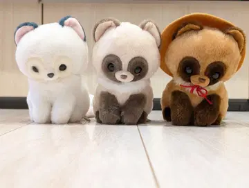 포폰과 너구리 마스코트 봉제 인형 3종 세트