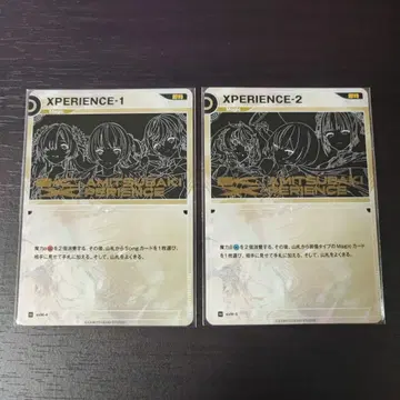 신 츄바 TCG 신 츄바 XP 입장 혜택 2장 세트 XPERIENCE