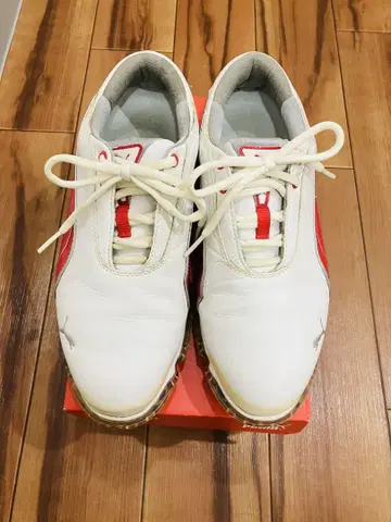Puma 골프화 화이트/레드 24.5cm 교체용 끈 포함