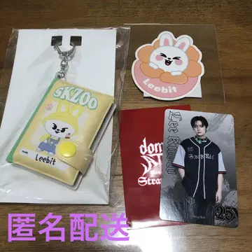 StrayKids Lee 비트 미니 노트 키링/스티커/포토 카드