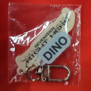 세븐틴 2024 RIGHT HERE JAPAN DINO 아크릴 키링