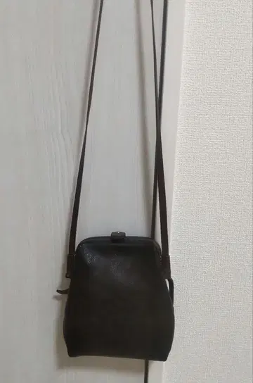 헤르츠 오르간 입틀 미니백