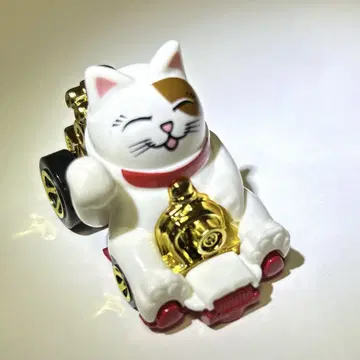 핫휠 2025 고양이 행운