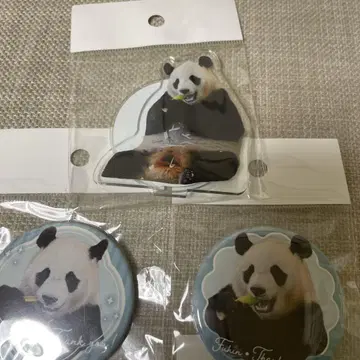 신출 어드벤처 월드 카에데하마 캔뱃지 팬더