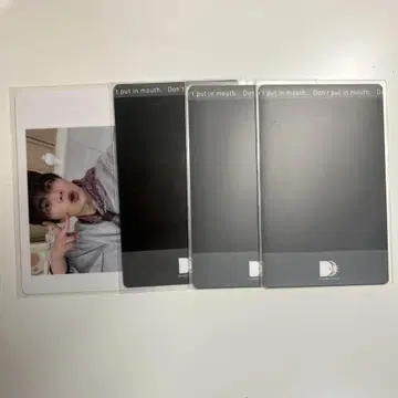 팬더 드래곤 나기 하피카