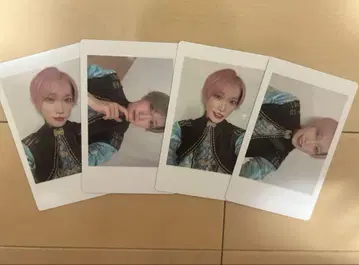 팬더 드래곤 파라곤 하피카 타이